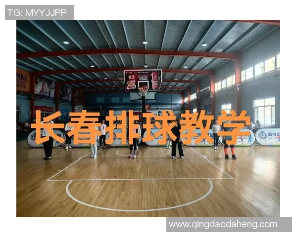 从零起步掌握排球技巧全方位指南助你成为排球高手