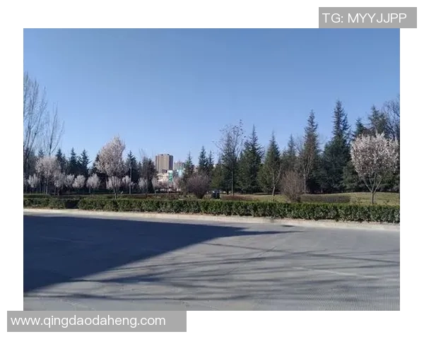 世界纪录保持者的非凡成就与背后故事:打破极限与超越自我的人生轨迹 世界纪录保持者的非凡成就与背后故事:打破极限与超越自我的人生轨迹