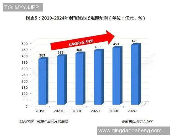 乒乓球运动的技术发展与全球竞技格局变化研究 乒乓球运动的技术发展与全球竞技格局变化研究