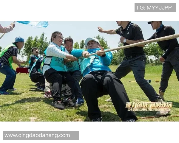 V5在挑战者杯中的团队协作表现分析与评价 V5在挑战者杯中的团队协作表现分析与评价