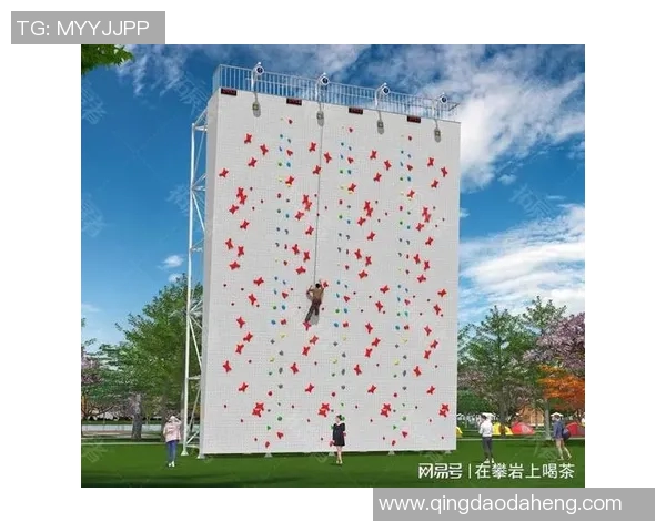 杭州攀岩队员个人能力深度对比与分析探讨