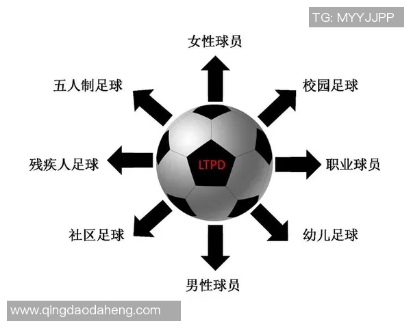 全球足球明星年龄对比分析图揭示运动员职业生涯的变化与发展趋势 全球足球明星年龄对比分析图揭示运动员职业生涯的变化与发展趋势
